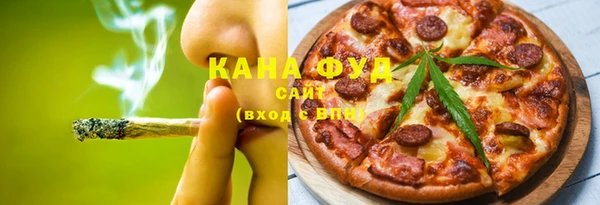 дмт Алексин
