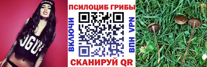 mega tor  Агидель  Псилоцибиновые грибы мухоморы 